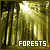 Forests